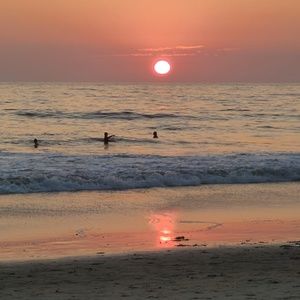 Meet your Posher, Roni